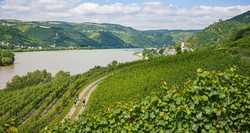 pic_Rheinsteig, Rüdesheim – St. Goarshausen/Umgebung 5 Tage/ 4 Nächte