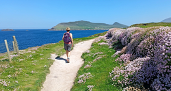 pic_Dingle Way 8 Tage/ 7 Nächte